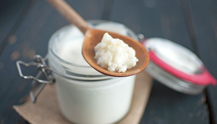 How to make coconut kefir (water and milk) - Moday Center